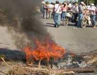 Productores y trabajadores del tabaco esperan un subsidio