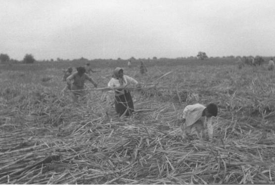 La historia provincial en la televisión pública