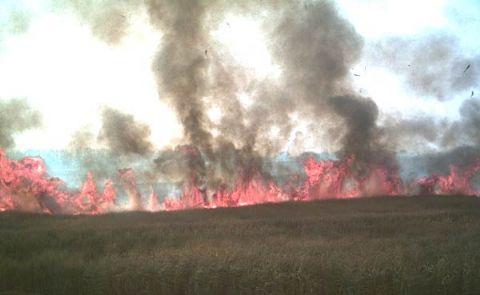 El endurecimiento coincidirá con la finalización de la zafra