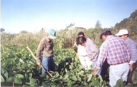 Los cosecheros recibirán los planes