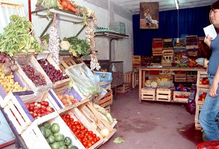 Las lluvias permiten la sobreoferta de verduras          