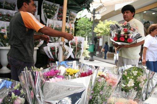 Las flores siempre caen bien.