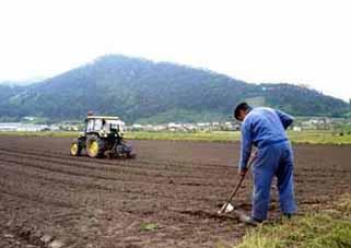 El trabajador  rural no está registrado