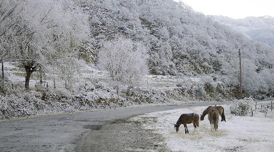 La nieve en Tafí conforma un nuevo atractivo        