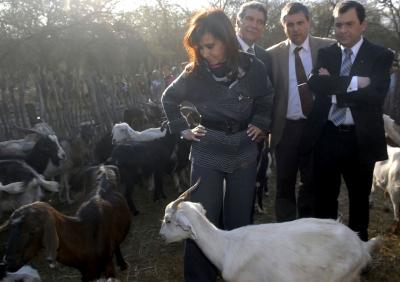 La Presidenta en un establecimiento caprino      