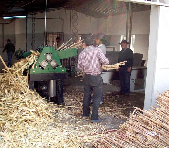 Un día de trabajo en la Cooperativa La Tuna    