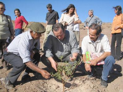 Ecologistas plantando árboles