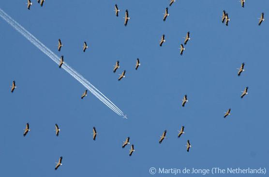 Fotografía de Martijn de Jonge