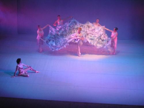 Ballet estable de la provincia