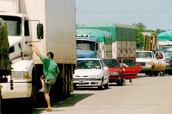 Las cargas se redujeron a la mitad     