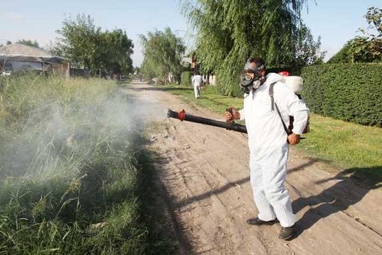 Fumigando al dengue