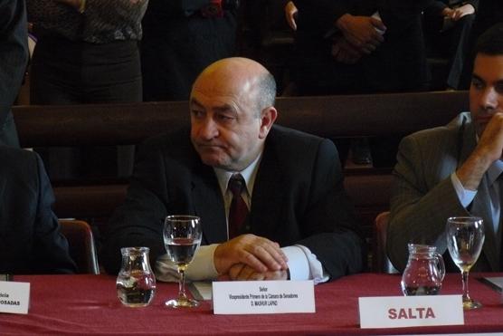 Mashur Lapad, Vicepresidente primero de la cámara de senadores, Salta