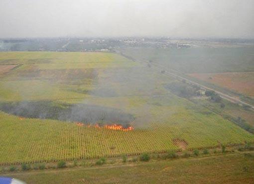 Medio Ambiente comunicó que por día se registran 10 focos de incendios