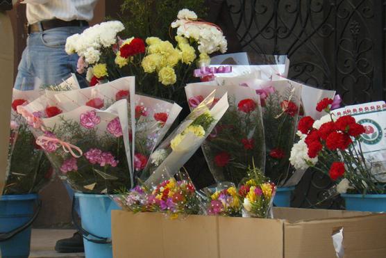 Las flores de los vendedores le pusieron color primaveral a las calles de San Miguel