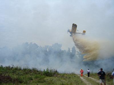 Gracias al avión el fuego está controlado en San Javier