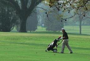 Locos por el Golf