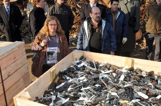 Desde el 10 de julio de 2007 fueron recuperadas, en los distintos centros de recepción de todo el país, 104.782 armas de fuego, 