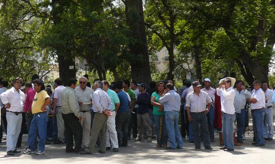 Cañeros del este se manifestaron en la Plaza