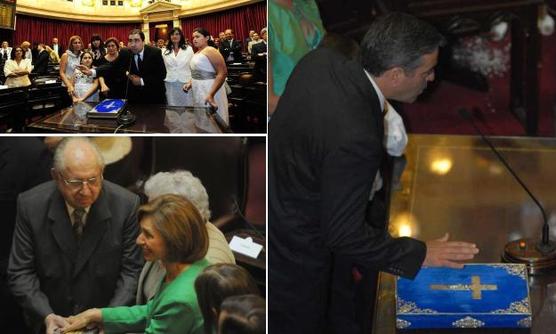 Mansilla, Rojkés y Cano juraron como senadores