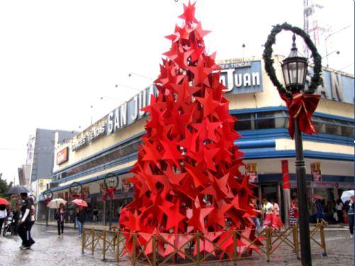 El Árbol de siete metros en Muñecas y Mendoza