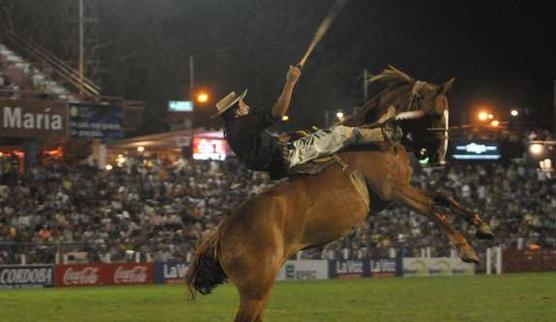 Murió un jinete al cársele un caballo encima 