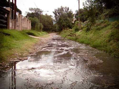 Dengue, cólera en la Ciudad Jardín?