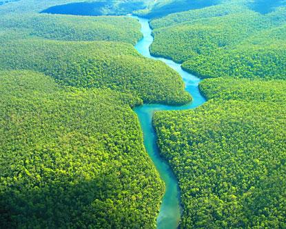 La Amazonia como bien de la humanidad    