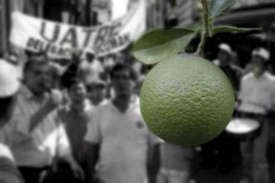 UATRE y de la Asociación Tucumana del Citrus (ATC)  irán a conciliación obligatoria