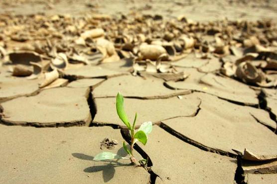 El cambio climático tendrá su cumbre en Cochabamba