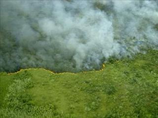 Frente de fuego arrasa bosques bolivianos