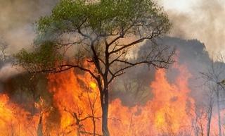 El fuego acosa a toda Bolivia