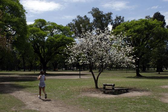 El parque 9 de julio un lugar cerca para sentir el renacer de la naturaleza. Ver más fotos