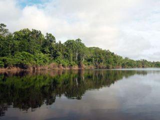 Amazonia en peligro