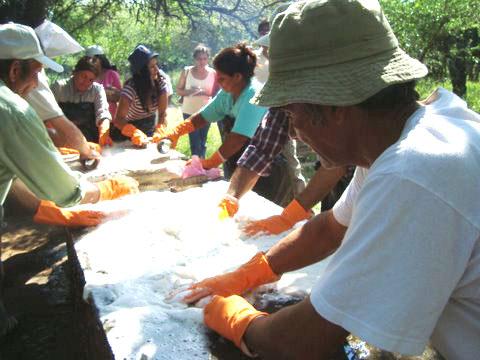 Capacitación en conservación de pieles