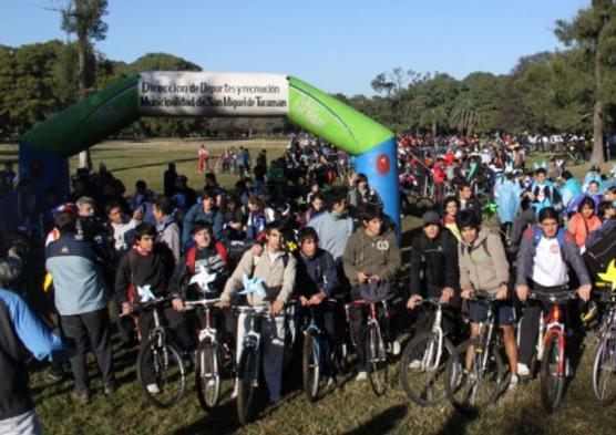 Recorriendo los árboles en bicleta