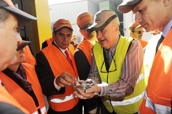 Intendentes en la planta