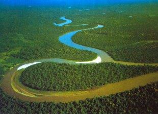 Amazonas en plenitud