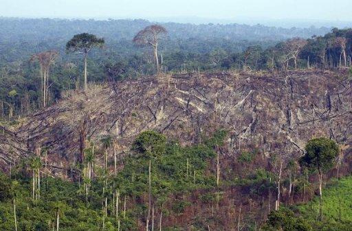 Vista aérea de una zona deforestada de la Amazonia brasileña