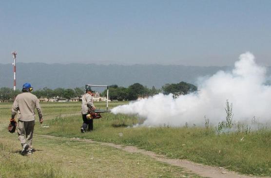 La Municipalidad realizó un operativo de fumigación en Campo Norte