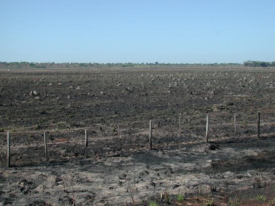 Tierra virgen quemada y alambrada