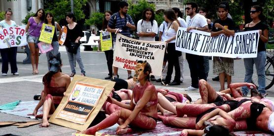 La Cadena Mascotera en la Plaza