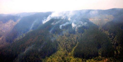 Para Piñera los incendios son intencionales