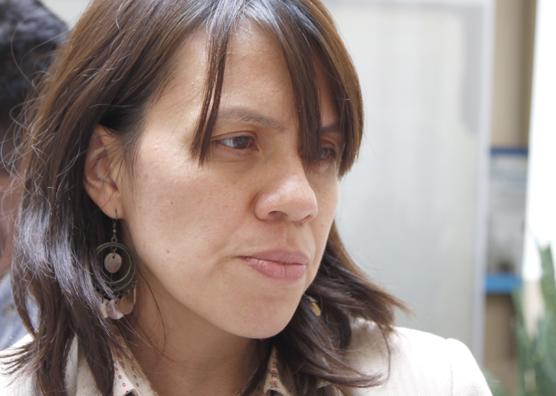 Teresa Ivankow dejó de ser la delegada del Instituto Nacional contra la Discriminación, la Xenofobia y el Racismo