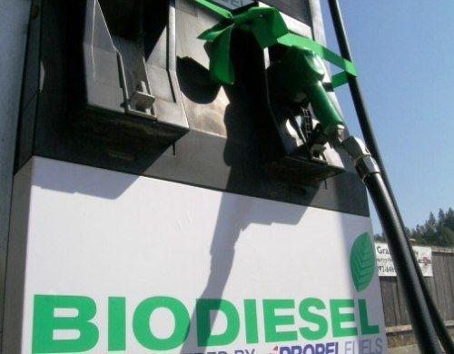 La producción de biocombustibles crecerá un 20 por ciento en 2012