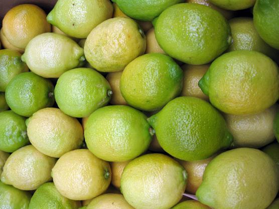 Trabas al ingreso de limones al mercado estadounidense