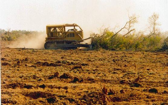 Una topadora en plena acción de desmonte