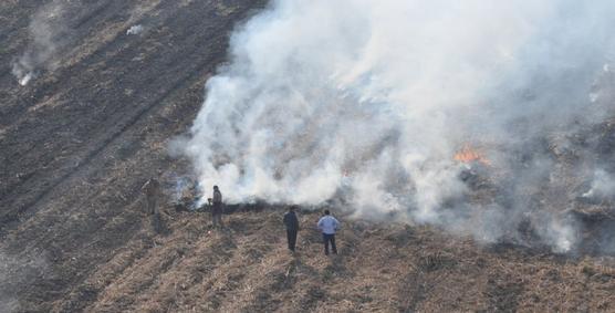 Durante los meses de enero a julio de 2012 se detectaron 317 focos de calor en Tucumán