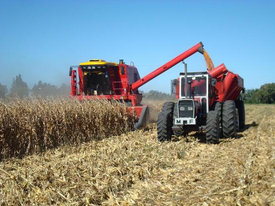 Día del Agricultor