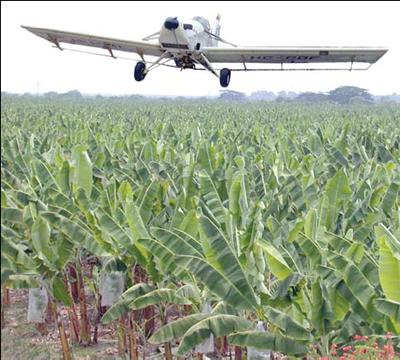 Fumigación aérea de bananos