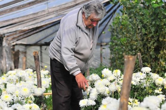 Mujica y sus flores inspiran perfume